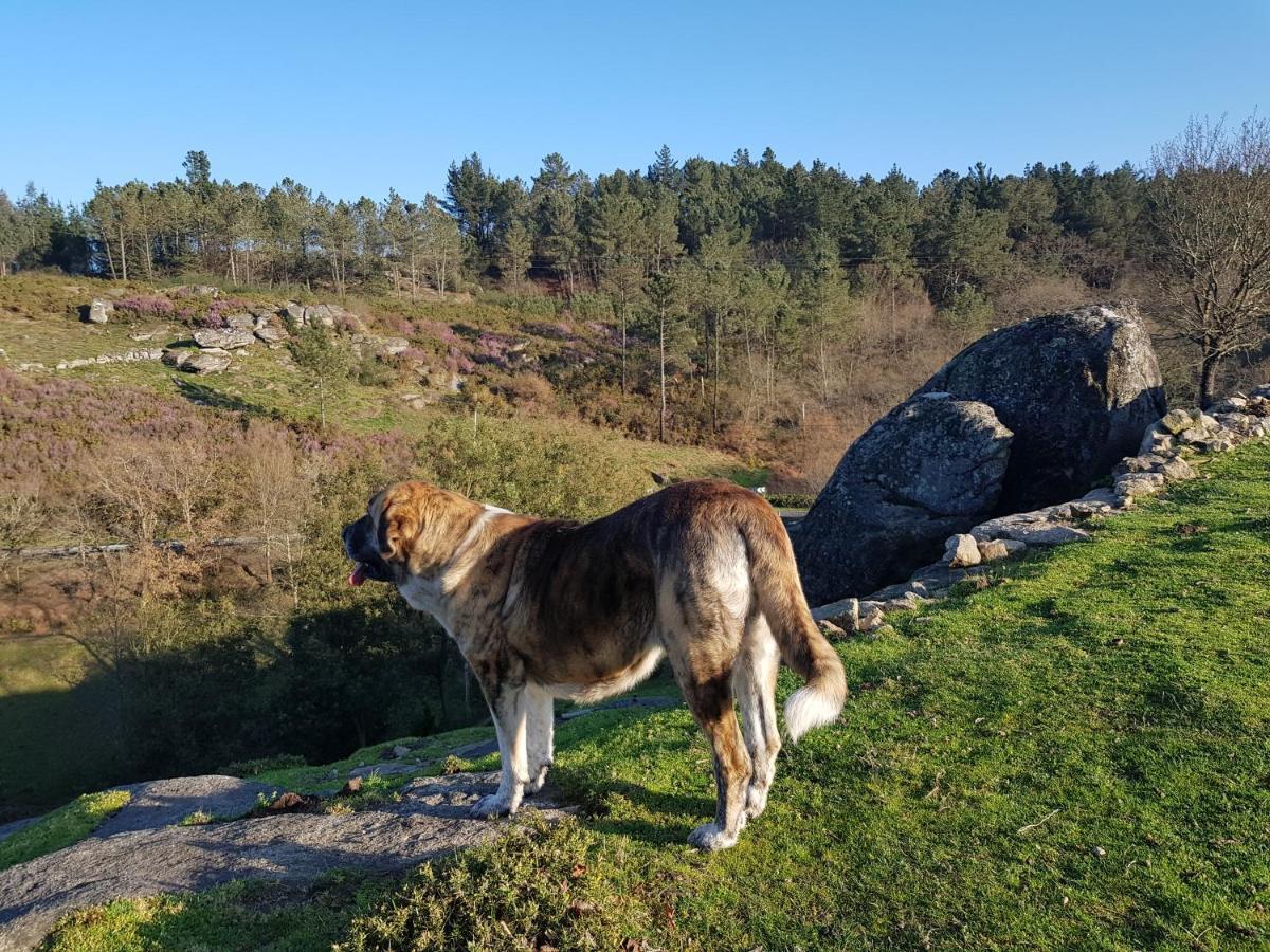 Willa El Viejo Molino Lugo Zewnętrze zdjęcie